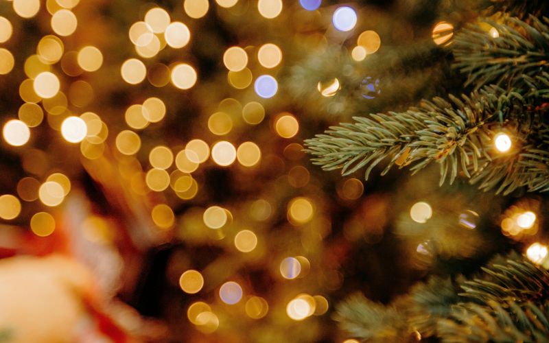 A December at Golden Lakes